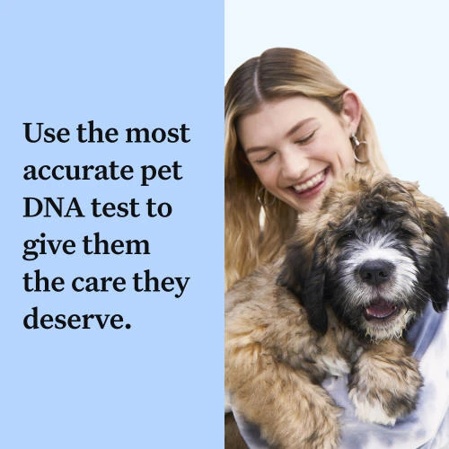 Wisdom Panel Breed Discovery Dog DNA Testing Kit 4 Wisdom Panel Breed Discovery Dog DNA Testing Kit - Image 2