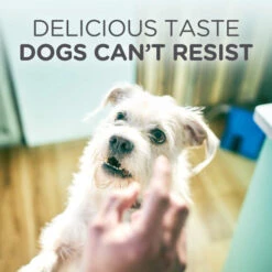 Hills Hypoallergenic Dog Treats -Pet Supply Store 3. Hills Treats eCom Thumbnail 2000x2000 Taste ksdatl