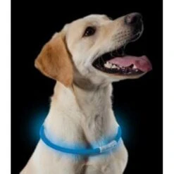 Ancol USB Rechargeable Dog Bands