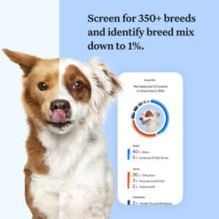 Wisdom Panel Breed Discovery Dog DNA Testing Kit 11 Wisdom Panel Breed Discovery Dog DNA Testing Kit -Pet Supply Store 3 Wisdom Panel UK Breed Discovery u6ec2z