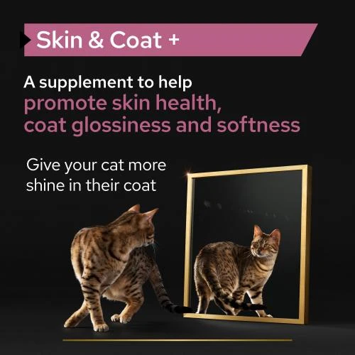 PURINA PRO PLAN PRO PLAN Adult And Senior Skin & Coat Cat Supplement 9 PURINA PRO PLAN PRO PLAN Adult And Senior Skin & Coat Cat Supplement - Image 7