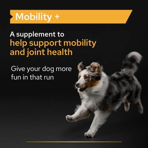 PURINA PRO PLAN PRO PLAN Adult & Senior Mobility Powder Dog Supplement 6 PURINA PRO PLAN PRO PLAN Adult & Senior Mobility Powder Dog Supplement - Image 4