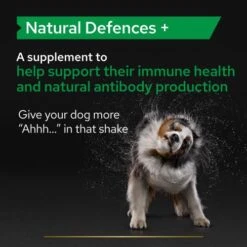 PURINA PRO PLAN PRO PLAN Adult And Senior Natural Defences Dog Supplement -Pet Supply Store 3 tukrpy