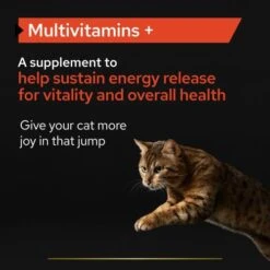 PURINA PRO PLAN PRO PLAN Adult & Senior Multivitamins Cat Supplement 11 PURINA PRO PLAN PRO PLAN Adult & Senior Multivitamins Cat Supplement -Pet Supply Store 3 ytuqqw