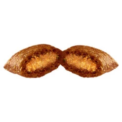 Dreamies Mega Tub Of Cat Treats 15 Dreamies Mega Tub Of Cat Treats -Pet Supply Store 4008429037894 02 albcvm