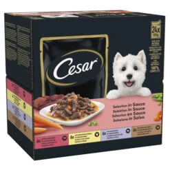 Cesar Pouch Deliciously Fresh Favourites In Sauce Adult Dog Food -Pet Supply Store 4008429079597 03 ol2boj