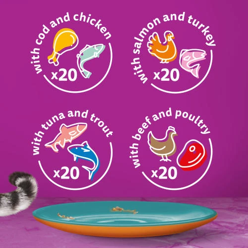 Whiskas 1+ Duo Surf & Turf In Jelly Wet Adult Cat Food 5 Whiskas 1+ Duo Surf & Turf In Jelly Wet Adult Cat Food - Image 3