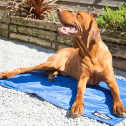 Danish Design Cooling Mat For Dogs
