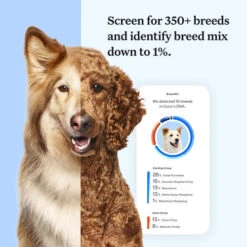 Wisdom Panel Essential Dog DNA Testing Kit -Pet Supply Store 4 Wisdom Panel UK Essential ntx72e