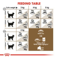 Royal Canin Ageing Sterilised 12+ Dry Adult Senior Cat Food 12 Royal Canin Ageing Sterilised 12+ Dry Adult Senior Cat Food -Pet Supply Store 4 z8b6zg