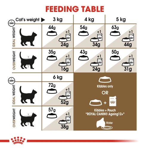 Royal Canin Ageing Sterilised 12+ Dry Adult Senior Cat Food 7 Royal Canin Ageing Sterilised 12+ Dry Adult Senior Cat Food - Image 5