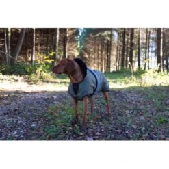 Danish Design 2 In 1 Orange Dog Rain Coat With Reflective Strip -Pet Supply Store 4z8a2841 yr2pg6 1