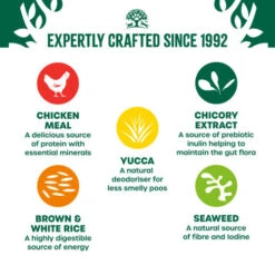 James Wellbeloved Puppy Chicken & Rice Dry Food 11 James Wellbeloved Puppy Chicken & Rice Dry Food -Pet Supply Store 5000166156899 04 gewwgu