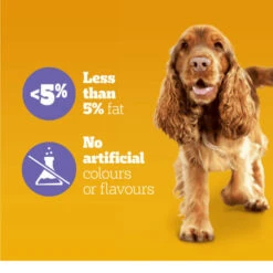 Pedigree Multivitamin Digestion Supplement For Dogs -Pet Supply Store 5010394005296 04 dubdxo