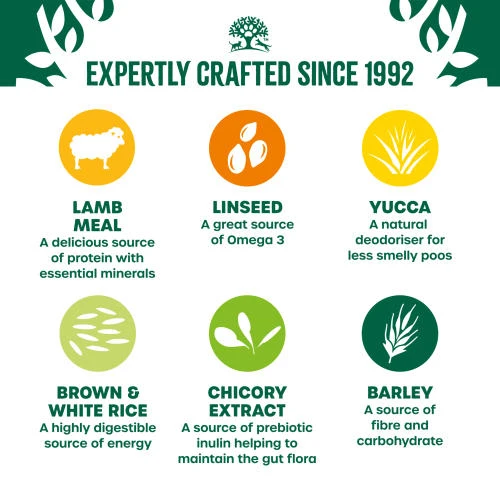 James Wellbeloved Lamb & Rice Dry Adult Dog Food 8 James Wellbeloved Lamb & Rice Dry Adult Dog Food - Image 6