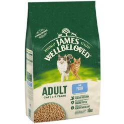 James Wellbeloved Fish Dry Adult Cat Food -Pet Supply Store 5025838006227 03 cmhl4c