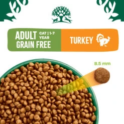 James Wellbeloved Grain Free Turkey Dry Adult Cat Food -Pet Supply Store 5025838999284 10 phvhqp