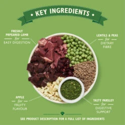 Lily's Kitchen Lilys Kitchen Lovely Lamb Shepherds Pie Complete Dry Food For Dogs -Pet Supply Store 5060184241236 02 LK 2.5KG DOG DRY LAMB KEY INGREDIENTS ygmxdi