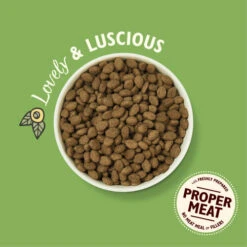 Lily's Kitchen Lilys Kitchen Lovely Lamb Shepherds Pie Complete Dry Food For Dogs -Pet Supply Store 5060184241236 04 LK 2.5KG DOG DRY LAMB PRODUCT SHOT gp5wrx