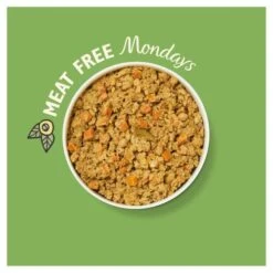 Lily's Kitchen Lilys Kitchen Veggie Feast Wet Dog Food -Pet Supply Store 5060184242981 T60 fanzgv