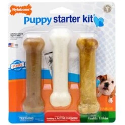 Nylabone Puppy Bone Starter Kit Chew Toy