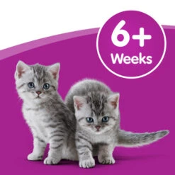 Whiskas Cat Milk -Pet Supply Store 5900951115424 07 aa9uay