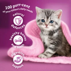 Whiskas Kitten Chicken Dry Cat Food -Pet Supply Store 5900951305795 T60 fvnlkj
