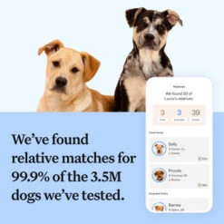 Wisdom Panel Breed Discovery Dog DNA Testing Kit 13 Wisdom Panel Breed Discovery Dog DNA Testing Kit -Pet Supply Store 5 Wisdom Panel UK Breed Discovery doxsfw