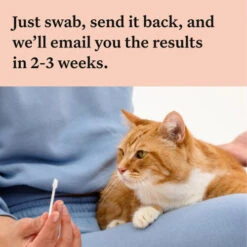 Wisdom Panel Complete Cat DNA Testing Kit -Pet Supply Store 5 Wisdom Panel UK Complete for Ca qmbh45