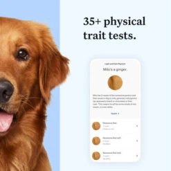 Wisdom Panel Essential Dog DNA Testing Kit -Pet Supply Store 5 Wisdom Panel UK Essential kdfcmi