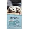 Burgess Chicken Kitten Dry Cat Food -Pet Supply Store 61ymz5MEKVL. AC SX679 toir5c