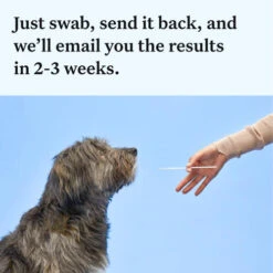 Wisdom Panel Essential Dog DNA Testing Kit -Pet Supply Store 6 Wisdom Panel UK Essential qwuyd6