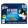 Felix As Good As It Looks 7+ Fish Selection In Jelly Cat Food 1 Felix As Good As It Looks 7+ Fish Selection In Jelly Cat Food -Pet Supply Store 7613032631925 xdtoir