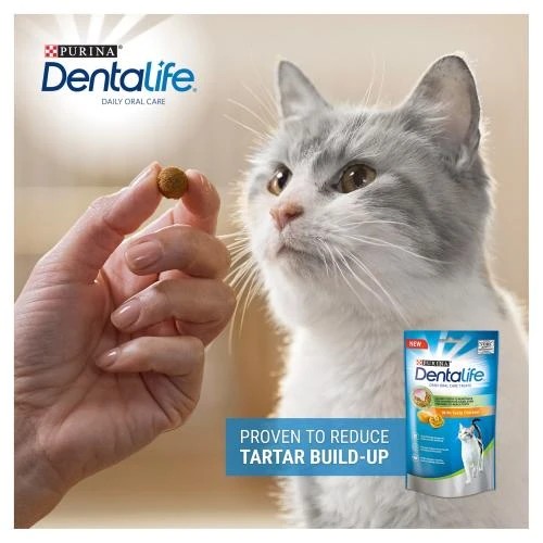 Dentalife Salmon Adult Cat Treats 6 Dentalife Salmon Adult Cat Treats - Image 4