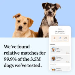 Wisdom Panel Essential Dog DNA Testing Kit -Pet Supply Store 7 Wisdom Panel UK Essential kamahe
