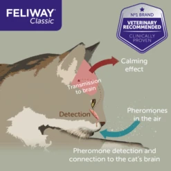 Feliway Classic Cat Calming Diffuser Refill -Pet Supply Store 7 jfwd6q