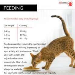 PURINA PRO PLAN PRO PLAN Sterilised Salmon Dry Adult Cat Food -Pet Supply Store 8502694 T282 a5om6h