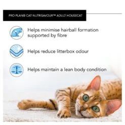 PURINA PRO PLAN PRO PLAN NUTRISAVOUR Salmon In Gravy Housecat Wet Adult Cat Food -Pet Supply Store 8554489 T60 kgbjuu