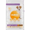IAMS For Vitality Chicken Small & Medium Breed Puppy Dry Dog Food -Pet Supply Store 8710255128382 0 qnc8fp
