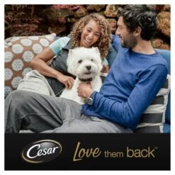 Cesar Country Stew Special Selection Wet Adult Dog Food -Pet Supply Store 8796446 T15 ig53q9