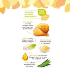 HiLife Its Only Natural Tender Chicken Wet Kitten Food -Pet Supply Store 887 frirgc