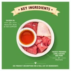 Lily's Kitchen Lilys Kitchen Lamb Pate Complete Wet Cat Food -Pet Supply Store 8934578 T61 qwm6wx