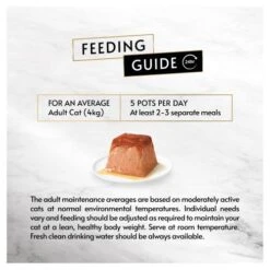 Gourmet Revelations Chicken In Gravy Wet Cat Food -Pet Supply Store 8973489 T283 yorebr