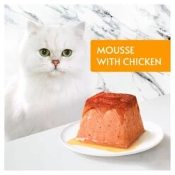 Gourmet Revelations Chicken In Gravy Wet Cat Food -Pet Supply Store 8973489 T61 st0yyd