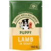 James Wellbeloved Lamb & Rice Puppy Dog Pouches -Pet Supply Store 9003579308240 02 g8szeo