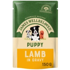 James Wellbeloved Lamb & Rice Puppy Dog Pouches