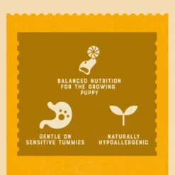 James Wellbeloved Lamb & Rice Puppy Dog Pouches -Pet Supply Store 9003579308240 04 jze3qe