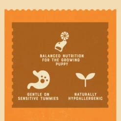 James Wellbeloved Turkey & Rice Puppy Dog Pouches -Pet Supply Store 9003579308257 04 gycnu0