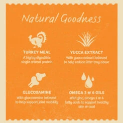 James Wellbeloved Grain Free Lamb Adult Cat Pouches -Pet Supply Store 9003579310526 09 uuhjm9