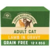 James Wellbeloved Grain Free Lamb Adult Cat Pouches -Pet Supply Store 9003579310557 T14